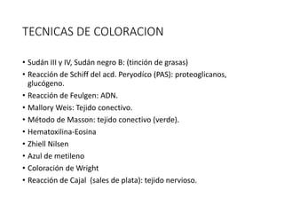 TECNICAS DE COLORACION
• Sudán III y IV, Sudán negro B: (tinción de grasas)
• Reacción de Schiff del acd. Peryodíco (PAS): proteoglicanos,
glucógeno.
• Reacción de Feulgen: ADN.
• Mallory Weis: Tejido conectivo.
• Método de Masson: tejido conectivo (verde).
• Hematoxilina-Eosina
• Zhiell Nilsen
• Azul de metileno
• Coloración de Wright
• Reacción de Cajal (sales de plata): tejido nervioso.
 