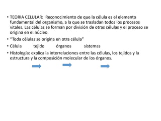 • TEORIA CELULAR: Reconocimiento de que la célula es el elemento
fundamental del organismo, a la que se trasladan todos los procesos
vitales. Las células se forman por división de otras células y el proceso se
origina en el núcleo.
• “Toda células se origina en otra célula”
• Célula tejido órganos sistemas
• Histología: explica la interrelaciones entre las células, los tejidos y la
estructura y la composición molecular de los órganos.
 