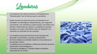 Levaduras
• Las levaduras han sido los primeros microorganismos
“domesticados” por el humano para su provecho.
• Desde el punto de vista estructural, las levaduras son
entidades microbiológicas independientes, por lo general
unicelulares, con membrana y pared celular, esta última casi
siempre conformada por quitina; su citoplasma contiene
vacuolas y el núcleo; este último suele ser pequeño y en
ocasiones se confunde con las vacuolas.
• Las levaduras presentan dos formas de reproducción:
asexuada o anamórfica y sexuada o teleomórfica.
• De forma didáctica es factible clasificar a las levaduras en
dos grandes rubros:
• 1) aquellas que son benéficas o útiles para diversos procesos
industriales y farmacológicos y
• 2) levaduras patógenas. Considere algunos ejemplos
sobresalientes de ambos.
 
