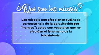 Las micosis son afecciones cutáneas
consecuencia de la parasitación por
"hongos"; estos son vegetales que no
efectúan el fenómeno de la
fotosíntesis.
 