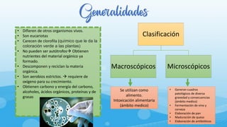 Clasificación
Macroscópicos Microscópicos
Generalidades
• Difieren de otros organismos vivos.
• Son eucariotas
• Carecen de clorofila (químico que le da la
coloración verde a las plantas)
• No pueden ser autótrofos→ Obtienen
nutrientes del material orgánico ya
formado.
• Descomponen y reciclan la materia
orgánica.
• Son aerobios estrictos. → requiere de
oxígeno para su crecimiento.
• Obtienen carbono y energía del carbono,
alcoholes, ácidos orgánicos, proteínas y de
grasas
Se utilizan como
alimento.
Intoxicación alimentaria
(ámbito medico)
• Generan cuadros
patológicos de diversa
gravedad y consecuencias
(ámbito medico)
• Fermentación de vino y
cerveza
• Elaboración de pan
• Maduración de queso
• Elaboración de antibióticos
 