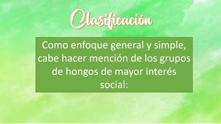 Como enfoque general y simple,
cabe hacer mención de los grupos
de hongos de mayor interés
social:
 