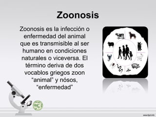 Zoonosis
Zoonosis es la infección o
enfermedad del animal
que es transmisible al ser
humano en condiciones
naturales o viceversa. El
término deriva de dos
vocablos griegos zoon
“animal” y nósos,
“enfermedad”
 