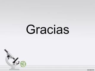 Gracias
 
