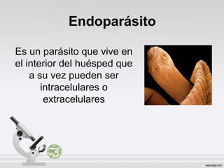 Endoparásito
Es un parásito que vive en
el interior del huésped que
a su vez pueden ser
intracelulares o
extracelulares
 