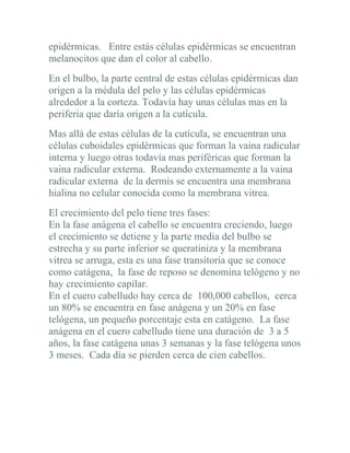 epidérmicas. Entre estás células epidérmicas se encuentran
melanocitos que dan el color al cabello.
En el bulbo, la parte central de estas células epidérmicas dan
origen a la médula del pelo y las células epidérmicas
alrededor a la corteza. Todavía hay unas células mas en la
periferia que daría origen a la cutícula.
Mas allá de estas células de la cutícula, se encuentran una
células cuboidales epidérmicas que forman la vaina radicular
interna y luego otras todavía mas periféricas que forman la
vaina radicular externa. Rodeando externamente a la vaina
radicular externa de la dermis se encuentra una membrana
hialina no celular conocida como la membrana vitrea.
El crecimiento del pelo tiene tres fases:
En la fase anágena el cabello se encuentra creciendo, luego
el crecimiento se detiene y la parte media del bulbo se
estrecha y su parte inferior se queratiniza y la membrana
vitrea se arruga, esta es una fase transitoria que se conoce
como catágena, la fase de reposo se denomina telógeno y no
hay crecimiento capilar.
En el cuero cabelludo hay cerca de 100,000 cabellos, cerca
un 80% se encuentra en fase anágena y un 20% en fase
telógena, un pequeño porcentaje esta en catágeno. La fase
anágena en el cuero cabelludo tiene una duración de 3 a 5
años, la fase catágena unas 3 semanas y la fase telógena unos
3 meses. Cada día se pierden cerca de cien cabellos.
 