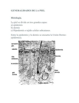 GENERALIDADES DE LA PIEL


Histología.
La piel se divide en tres grandes capas:
a) epidermis
b) dermis
c) Hipodermis o tejido celular subcutaneo.
Entre la epidermis y la dermis se encuetra la Unión Dermo-
epidérmica.
 