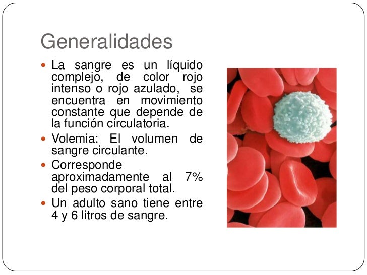 Generalidades de la sangre Generalidades de la sangre