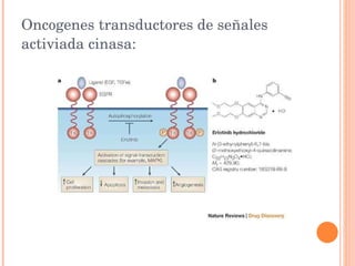 Oncogenes transductores de señales activiada cinasa: 