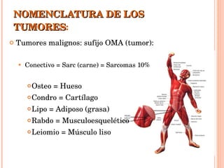 NOMENCLATURA DE LOS TUMORES : Tumores malignos: sufijo OMA (tumor): Conectivo = Sarc (carne) = Sarcomas 10% Osteo = Hueso Condro = Cartílago Lipo = Adiposo (grasa) Rabdo = Musculoesquelético Leiomio = Músculo liso 