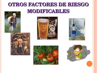 OTROS FACTORES DE RIESGO MODIFICABLES 