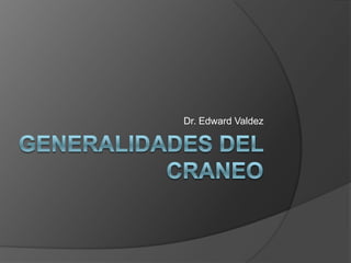 Generalidades del Craneo Dr. Edward Valdez 