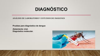 DIAGNÓSTICO
ANÁLISIS DE LABORATORIO Y ESTUDIOS DE IMÁGENES
Pruebas para diagnóstico de dengue
Aislamiento viral.
Diagnóstico molecular.
 