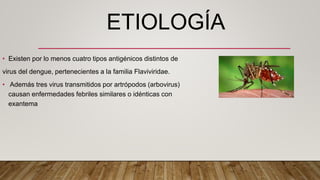 ETIOLOGÍA
• Existen por lo menos cuatro tipos antigénicos distintos de
virus del dengue, pertenecientes a la familia Flaviviridae.
• Además tres virus transmitidos por artrópodos (arbovirus)
causan enfermedades febriles similares o idénticas con
exantema
 