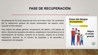 FASE DE RECUPERACIÓN:
Se presenta 48-72 horas después del inicio de la fase crítica. Se caracteriza
por la reabsorción gradual del líquido extravasado del espacio extra-
vascular al intra-vascular.
Hay mejoría del estado general, recuperación del apetito y del estado de
ánimo, disminución paulatina del edema, estabilización hemodinámica sin la
administración de líquidos, aumento de la diuresis, mejoría de la función
respiratoria, ascenso en el número de plaquetas y de leucocitos y
desaparición del sangrado
 
