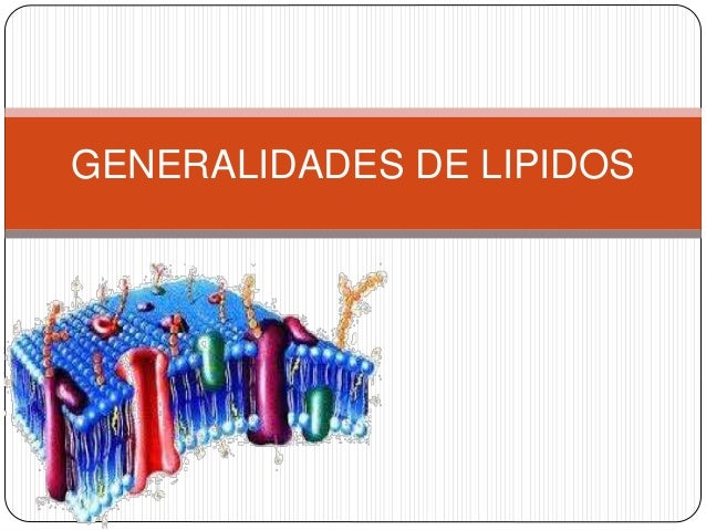 Generalidades de lipidos