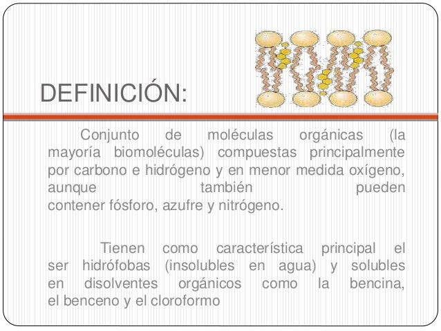 Generalidades de lipidos