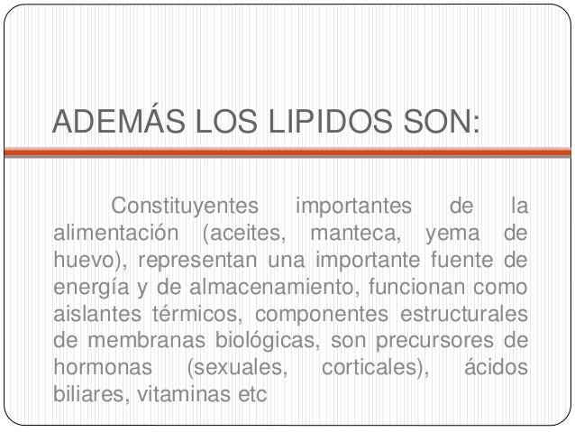 Generalidades de lipidos
