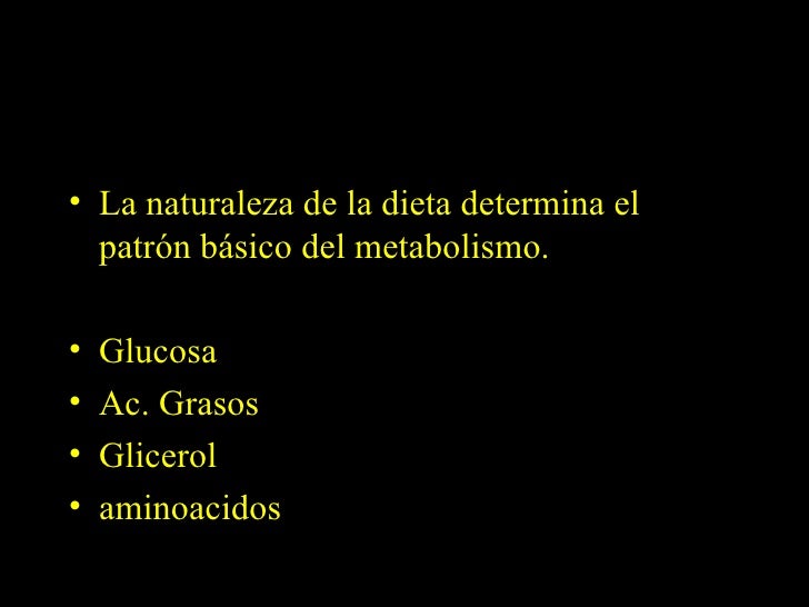 Leer sobre acelerador del metabolismo para adelgazar
