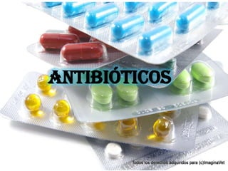 Antibióticos
 
