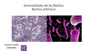 Generalidades de los Bacillus
Bacillus anthracis
Janseilin Castillo
100263006
 