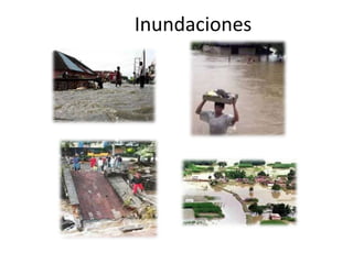 3. Químico Tecnológicos