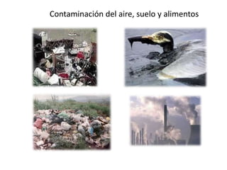 5. Socio -organizativos