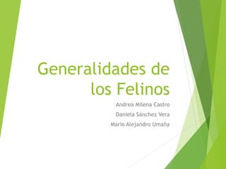 Generalidades de
los Felinos
Andrea Milena Castro
Daniela Sánchez Vera
Mario Alejandro Umaña
 