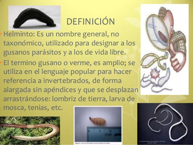 Todo sobre los parásitos la tos