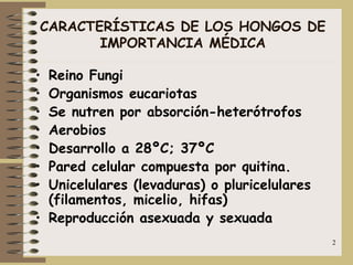 2
CARACTERÍSTICAS DE LOS HONGOS DE
IMPORTANCIA MÉDICA
• Reino Fungi
• Organismos eucariotas
• Se nutren por absorción-heterótrofos
• Aerobios
• Desarrollo a 28ºC; 37ºC
• Pared celular compuesta por quitina.
• Unicelulares (levaduras) o pluricelulares
(filamentos, micelio, hifas)
• Reproducción asexuada y sexuada
 