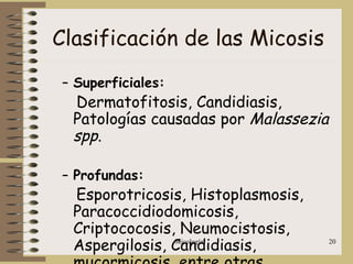 Micología 20
Clasificación de las Micosis
– Superficiales:
Dermatofitosis, Candidiasis,
Patologías causadas por Malassezia
spp.
– Profundas:
Esporotricosis, Histoplasmosis,
Paracoccidiodomicosis,
Criptococosis, Neumocistosis,
Aspergilosis, Candidiasis,
 