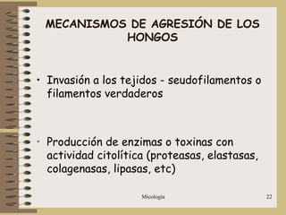 Micología 22
MECANISMOS DE AGRESIÓN DE LOS
HONGOS
• Invasión a los tejidos - seudofilamentos o
filamentos verdaderos
• Producción de enzimas o toxinas con
actividad citolítica (proteasas, elastasas,
colagenasas, lipasas, etc)
 
