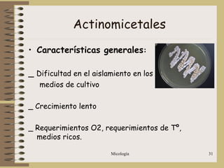 Micología 31
Actinomicetales
• Características generales:
_ Dificultad en el aislamiento en los
medios de cultivo
_ Crecimiento lento
_ Requerimientos O2, requerimientos de Tº,
medios ricos.
 