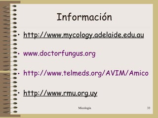 Micología 33
Información
• http://www.mycology.adelaide.edu.au
• www.doctorfungus.org
• http://www.telmeds.org/AVIM/Amico/ind
• http://www.rmu.org.uy
 