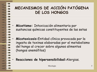 Micología 5
• Micetismo: Intoxicación alimentaria por
sustancias químicas constituyentes de las setas
• Micotoxicosis:Entidad clínica provocada por la
ingesta de toxinas elaboradas por el metabolismo
del hongo al crecer sobre algunos alimentos
(hongos anemófilos)
• Reacciones de hipersensibilidad:Alergias.
MECANISMOS DE ACCIÓN PATÓGENA
DE LOS HONGOS
 