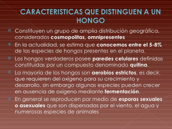 Klotrimazol el ungüento para el hongo de uña