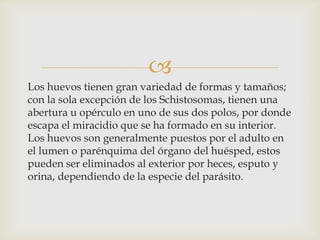 
Los huevos tienen gran variedad de formas y tamaños;
con la sola excepción de los Schistosomas, tienen una
abertura u opérculo en uno de sus dos polos, por donde
escapa el miracidio que se ha formado en su interior.
Los huevos son generalmente puestos por el adulto en
el lumen o parénquima del órgano del huésped, estos
pueden ser eliminados al exterior por heces, esputo y
orina, dependiendo de la especie del parásito.

 