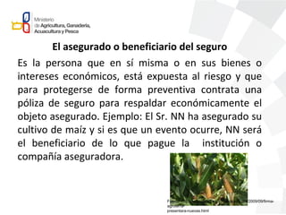 El asegurado o beneficiario del seguro
Es la persona que en sí misma o en sus bienes o
intereses económicos, está expuesta al riesgo y que
para protegerse de forma preventiva contrata una
póliza de seguro para respaldar económicamente el
objeto asegurado. Ejemplo: El Sr. NN ha asegurado su
cultivo de maíz y si es que un evento ocurre, NN será
el beneficiario de lo que pague la institución o
compañía aseguradora.
Fuente: http://economiagricola2.blogspot.com/2009/09/firma-
agroterra-
presentara-nuevas.html
 
