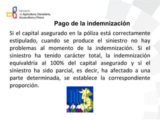 Si el capital asegurado en la póliza está correctamente
estipulado, cuando se produce el siniestro no hay
problemas al momento de la indemnización. Si el
siniestro ha tenido carácter total, la indemnización
equivaldría al 100% del capital asegurado y si el
siniestro ha sido parcial, es decir, ha afectado a una
parte determinada, se establece la correspondiente
proporción.
Pago de la indemnización
 