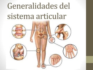 Generalidades del
sistema articular
 