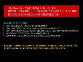 Sna Visual Comprehensive Overview of the Central Nervous System: Structure ...
