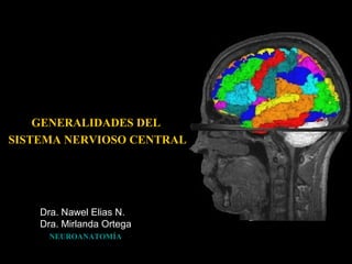 GENERALIDADES DEL
SISTEMA NERVIOSO CENTRAL
Dra. Nawel Elias N.
Dra. Mirlanda Ortega
NEUROANATOMÍA
 