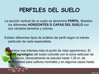 PERFILES DEL SUELO
La sección vertical de un suelo se denomina PERFIL. Muestra
los diferentes HORIZONTES O CAPAS DEL SUELO con
sus variados tamaños y colores.
Existen diferentes tipos de análisis del perfil según el interés
particular de cada especialista.
A nosotros nos interesa más el punto de vista agronómico. El
perfil agrológico del suelo coincide con la zona radicular de
los cultivos. Generalmente se estudia hasta 1.20 m. de
profundidad para cultivos normales y en algunos casos hasta
3 m.
 