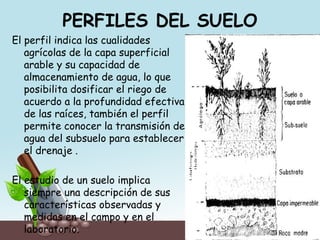 PERFILES DEL SUELO
El perfil indica las cualidades
agrícolas de la capa superficial
arable y su capacidad de
almacenamiento de agua, lo que
posibilita dosificar el riego de
acuerdo a la profundidad efectiva
de las raíces, también el perfil
permite conocer la transmisión de
agua del subsuelo para establecer
el drenaje .
El estudio de un suelo implica
siempre una descripción de sus
características observadas y
medidas en el campo y en el
laboratorio.
 