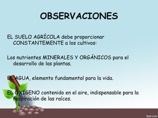 OBSERVACIONES
EL SUELO AGRÍCOLA debe proporcionar
CONSTANTEMENTE a los cultivos:
Los nutrientes MINERALES Y ORGÁNICOS para el
desarrollo de las plantas.
EL AGUA, elemento fundamental para la vida.
EL OXIGENO contenido en el aire, indispensable para la
respiración de las raíces.
 