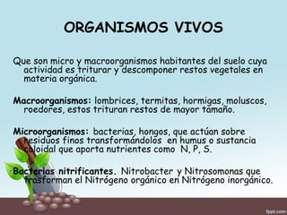 ORGANISMOS VIVOS
Que son micro y macroorganismos habitantes del suelo cuya
actividad es triturar y descomponer restos vegetales en
materia orgánica.
Macroorganismos: lombrices, termitas, hormigas, moluscos,
roedores, estos trituran restos de mayor tamaño.
Microorganismos: bacterias, hongos, que actúan sobre
residuos finos transformándolos en humus o sustancia
coloidal que aporta nutrientes como N, P, S.
Bacterias nitrificantes. Nitrobacter y Nitrosomonas que
trasforman el Nitrógeno orgánico en Nitrógeno inorgánico.
 