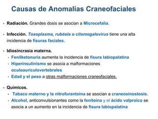 • Radiación. Grandes dosis se asocian a Microcefalia.
• Infección. Toxoplasma, rubéola o citomegalovirus tiene una alta
incidencia de fisuras faciales.
• Idiosincrasia materna.
• Fenilketonuria aumenta la incidencia de fisura labiopalatina
• Hiperinsulinismo se asocia a malformaciones
oculoauriculovertebrales
• Edad y el peso a otras malformaciones craneofaciales.
• Químicos.
• Tabaco materno y la nitrofurantoina se asocian a craneosinostosis.
• Alcohol, anticonvulsionantes como la fenitoína y el ácido valproico se
asocia a un aumento en la incidencia de fisura labiopalatina
Causas de Anomalias Craneofaciales
 