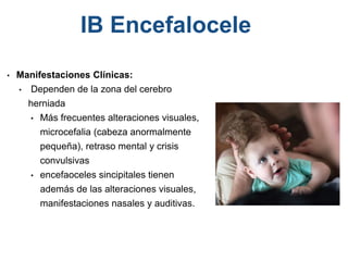 • Manifestaciones Clínicas:
• Dependen de la zona del cerebro
herniada
• Más frecuentes alteraciones visuales,
microcefalia (cabeza anormalmente
pequeña), retraso mental y crisis
convulsivas
• encefaoceles sincipitales tienen
además de las alteraciones visuales,
manifestaciones nasales y auditivas.
IB Encefalocele
 
