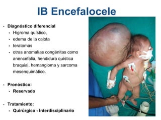 • Diagnóstico diferencial
• Higroma quístico,
• edema de la calota
• teratomas
• otras anomalías congénitas como
anencefalia, hendidura quística
braquial, hemangioma y sarcoma
mesenquimático.
• Pronóstico:
• Reservado
• Tratamiento:
• Quirúrgico - Interdisciplinario
IB Encefalocele
 