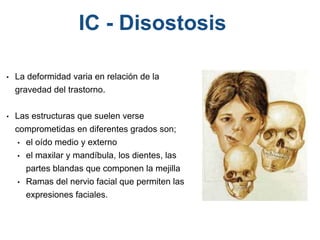 • La deformidad varia en relación de la
gravedad del trastorno.
• Las estructuras que suelen verse
comprometidas en diferentes grados son;
• el oído medio y externo
• el maxilar y mandíbula, los dientes, las
partes blandas que componen la mejilla
• Ramas del nervio facial que permiten las
expresiones faciales.
IC - Disostosis
 